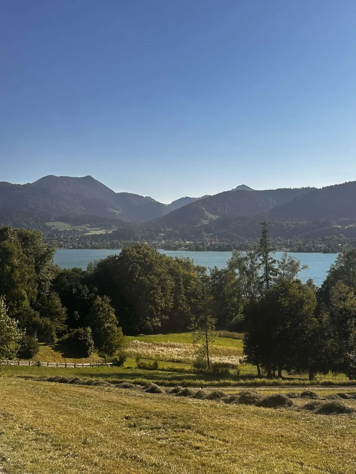 Blick über Wiesen auf den Tegernsee und die Berge