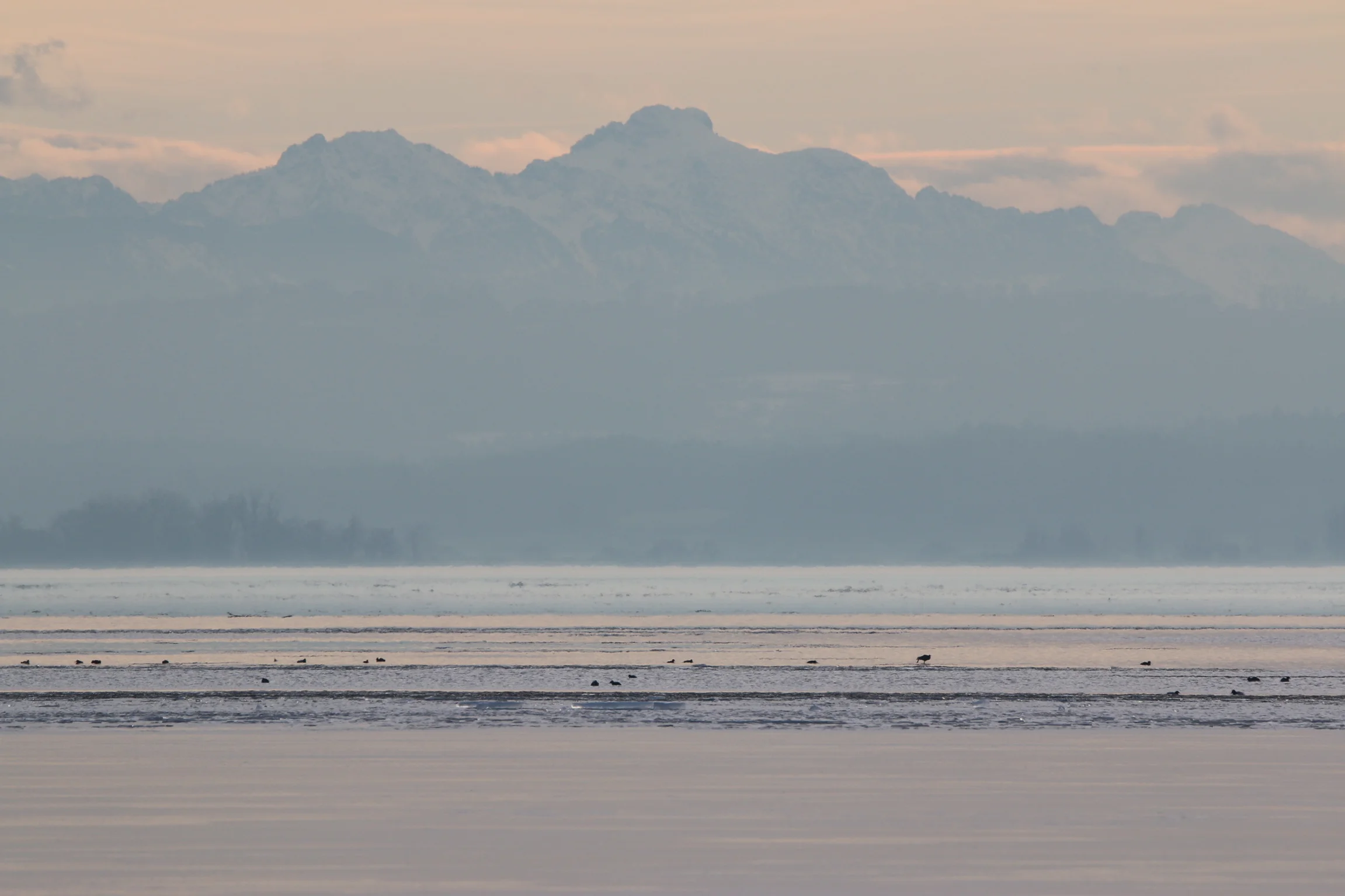 Ammersee